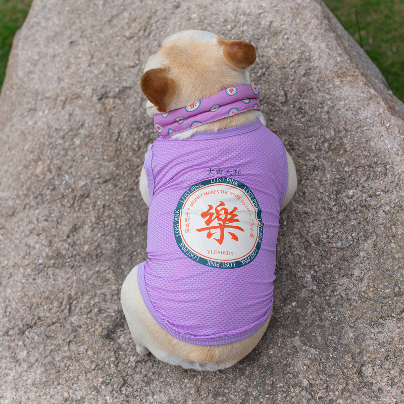 Chao Brand Spring and Summer Dog Mesh Vest Fadou Clothes Thin Breathable Bagor Schanery Pet Clothing Wholesale
