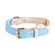 Loudik wholesale explosion leather pet collar dog leash set dog walking rope small and medium-sized dog cross-border