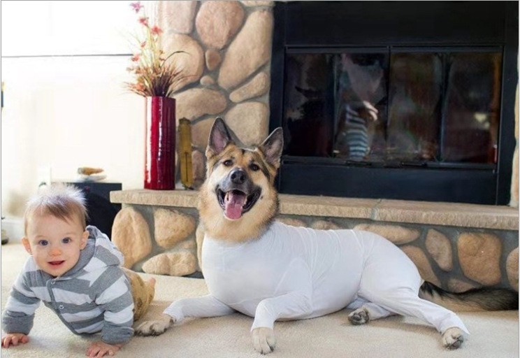 Dog clothes autumn and winter pet cotton-padded clothes Teddy captain cotton-padded clothes new medium and small dog four-legged factory in stock