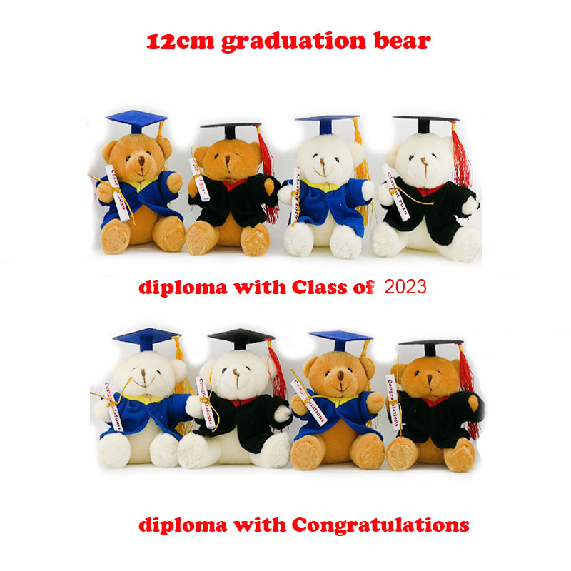 12cm plush doctor bear doll graduation bear doll bear Class of 2019 or congratulations
