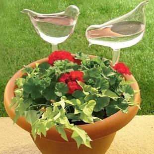 Cross-border new Self-Watering Plant Glass Bulbs gardening tools bird Watering device