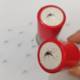 Live mosquito seal 1 (red shell)
