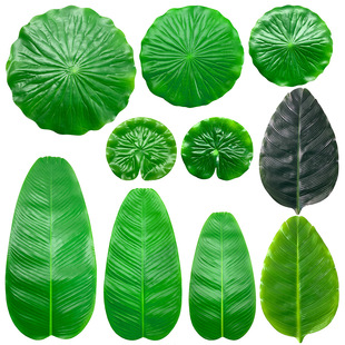 Simulation Plantain Leaf Simulation Lotus Leaf Fruit Shop Decorative Dining Table Mat Fake Leaf Glue Single Plantain Lotus Leaf