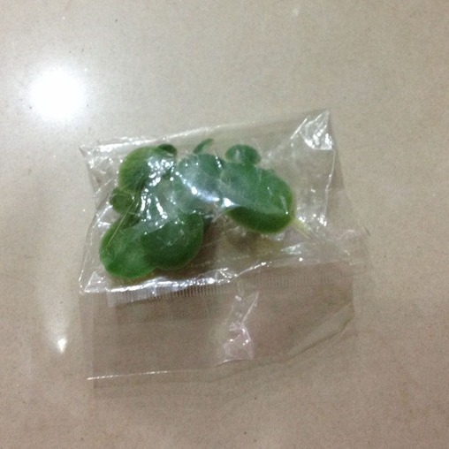 浮萍仿真植物批发塑料带根水上微小悬浮物游物假绿植水上漂水草花