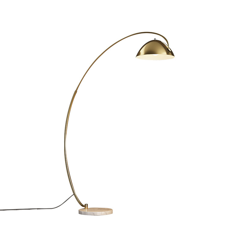 Nordic Creative Simple Floor Lamp Living Room ins Sofa Bedroom Lamp Vertical Iron New LED Golden Fishing Lamp