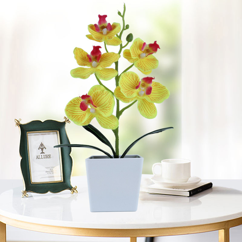 Simulation Phalaenopsis Simulation Potted Plant Nordic Floriculture Decoration Fake Flower Potted Plant Green Plant Small Bonsai Simulation Plant
