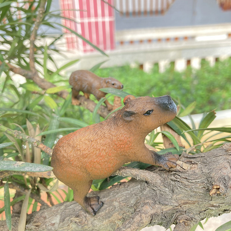 Children's simulation capybara wild animal model static solid plastic capybara toy model Enlightenment cognitive ornaments