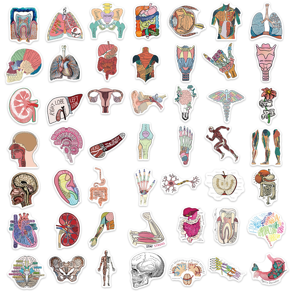 50 cartoon organ anatomy picture graffiti stickers personalized decoration guitar notebook luggage DIY waterproof