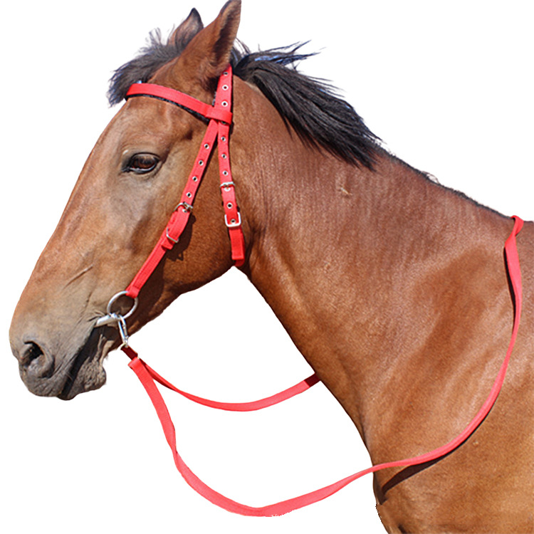 Steamer head rope equestrian supplies horse cage cover size short horse bridle horse gear head cover accessories water leash bridle