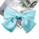 D-024 Cyan Spring Clip