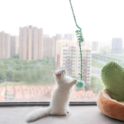 Hanging door cat toy swing sucker funny cat toy kitten self-Hi relieving stuffy artifact cat elastic rope with Bell Ball