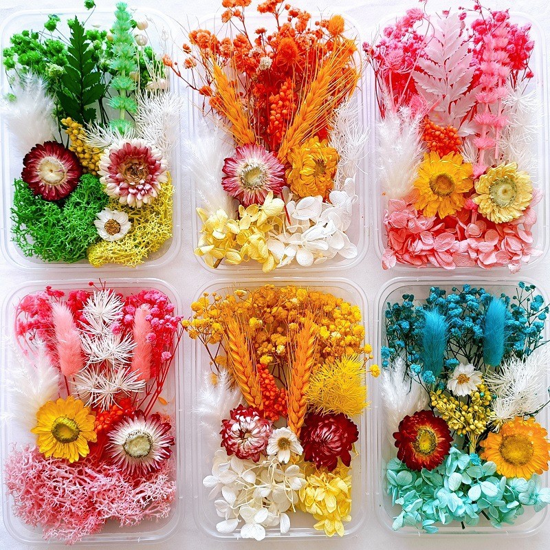 Factory Direct sales all kinds of diy lunch box material package photo frame fan and other random flower box crafts flower ornaments