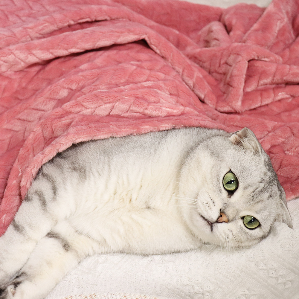 Wheat Velvet Blanket Pet Blanket Cat Blanket Nest Mat Dog Warm Blanket Coral Velvet Blanket Thickened Blanket