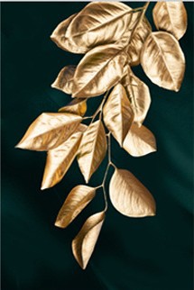 Cross-Border factory foreign trade direct modern simple golden leaf living room decorative painting plant frameless canvas painting