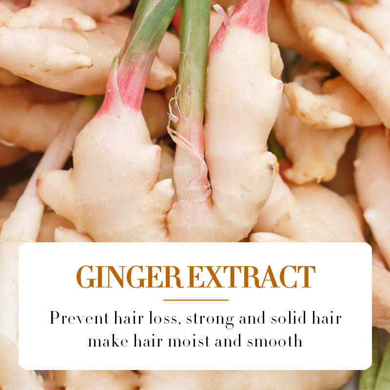 Foreign Trade Cross-border SADOER Ginger Hair Care Essence Repair Improvement Dry Curly Hair Oil Essence Wholesale