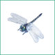 Export to Japan Outdoor Mosquito Repellent Simulation Dragonfly Model Mosquito Repellent Artifact Cross-border Toy-Wing Length 12%