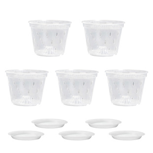 Amazon Explosions 5-piece Phalaenopsis Special Flower Pot Transparent Seedling Cup with Tray Raindrop Flower Pot