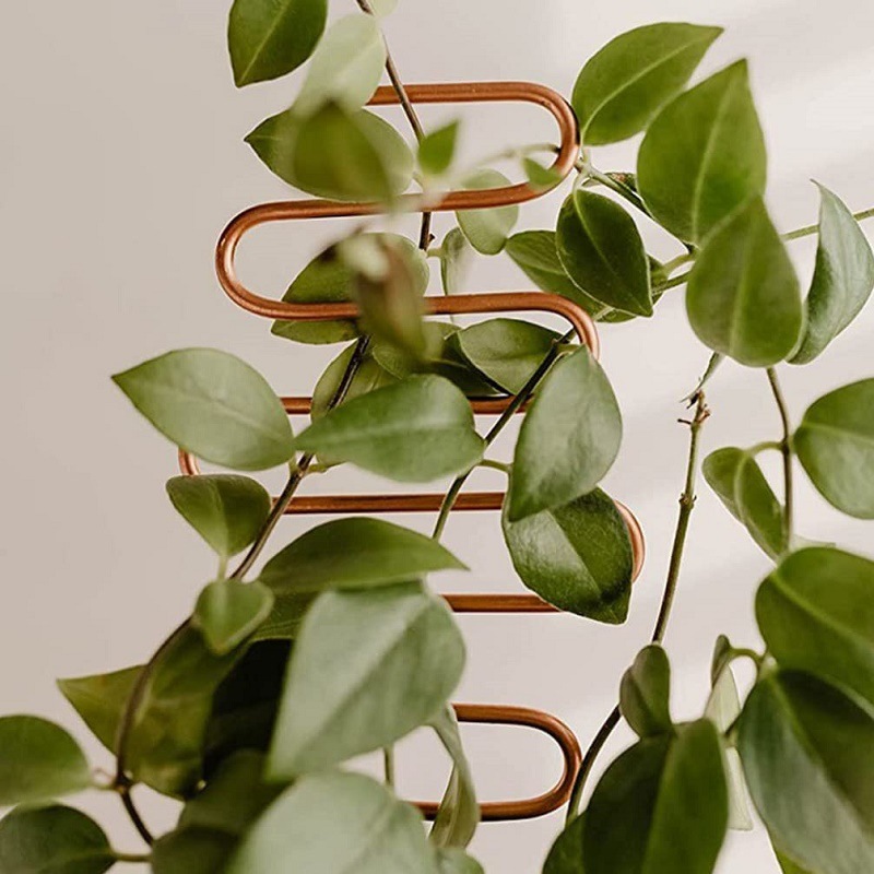 Cross-border Climbing Support for Garden Plants Creative Flower Pot Support Geometric Metal Iron Fixing Rod