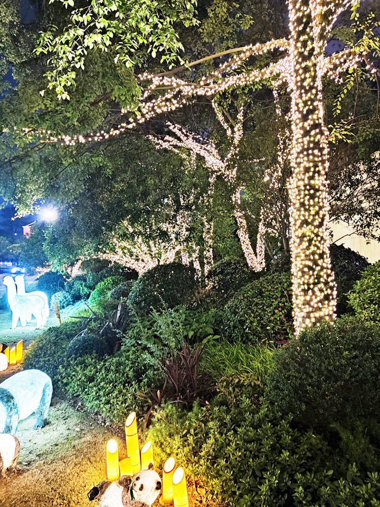 LED solar light string Amazon remote control star light string outdoor waterproof courtyard street lighting decorative lights