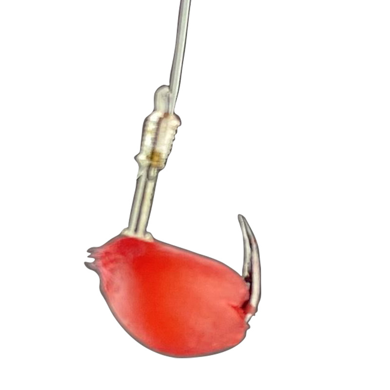 Fish Lure blood wheat grain fishing bait nest wild fishing pond fishing lure fish fishing carp grass carp black pit fish material