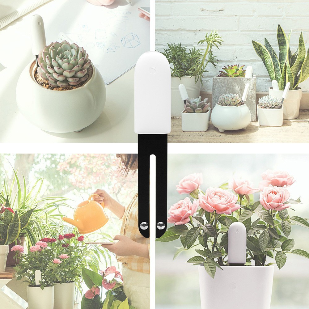Millet flowers and plants detector flower gardening flowers green plant monitor meat potted soil International Edition
