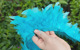 Lake Blue