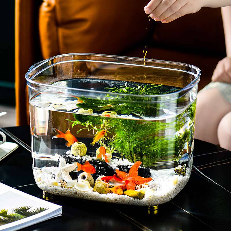 Fish tank transparent PET living room small desktop aquarium turtle tank goldfish tank drop-proof hydroponic landscape ecological tank