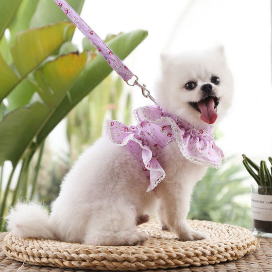 Dog Cat Pet Clothes Chest Strap Traction Lace Teddy Bear Spring Summer Autumn Dog Walking Rope Supplies