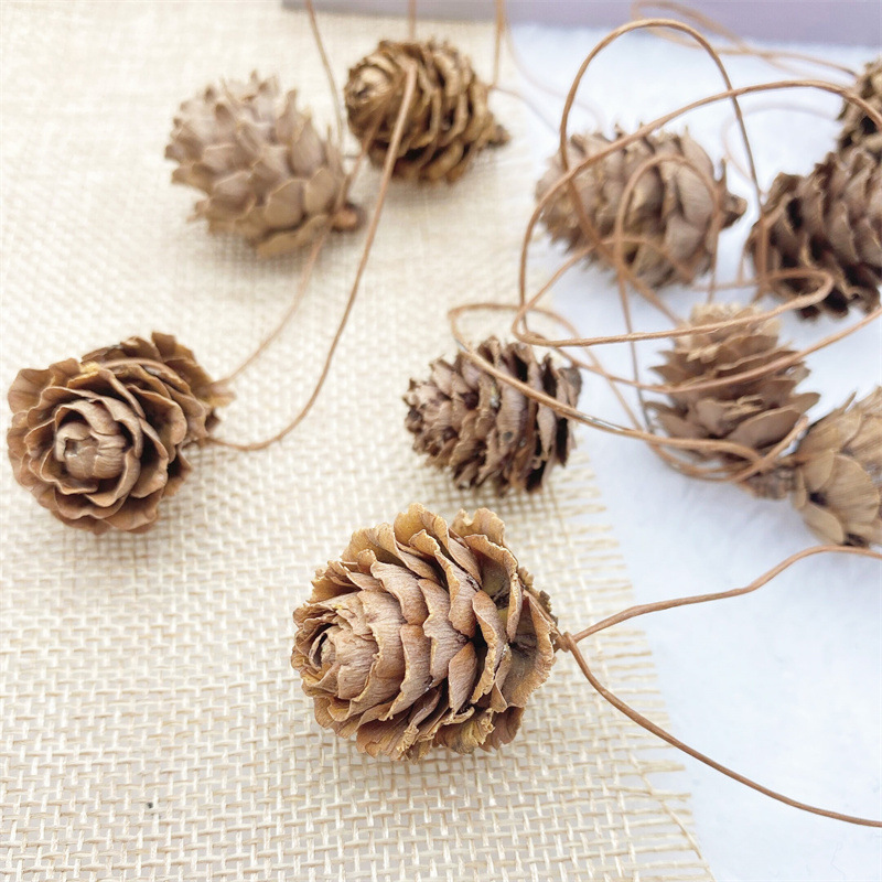 1-18cm pine cone Christmas decorations pendant Christmas tree pendant shooting props dry pine pine pine wholesale