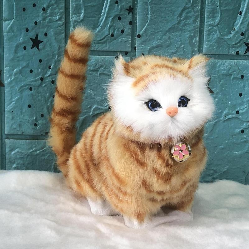 猫と呼ばれます。子供の人形のおもちゃの誕生日プレゼントです。|undefined