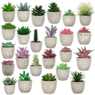 Amazon Simulation Fleshy Mini Pulp Fleshy Potted Plant Combination Indoor Balcony Desktop Simulation Fleshy Potted Plant