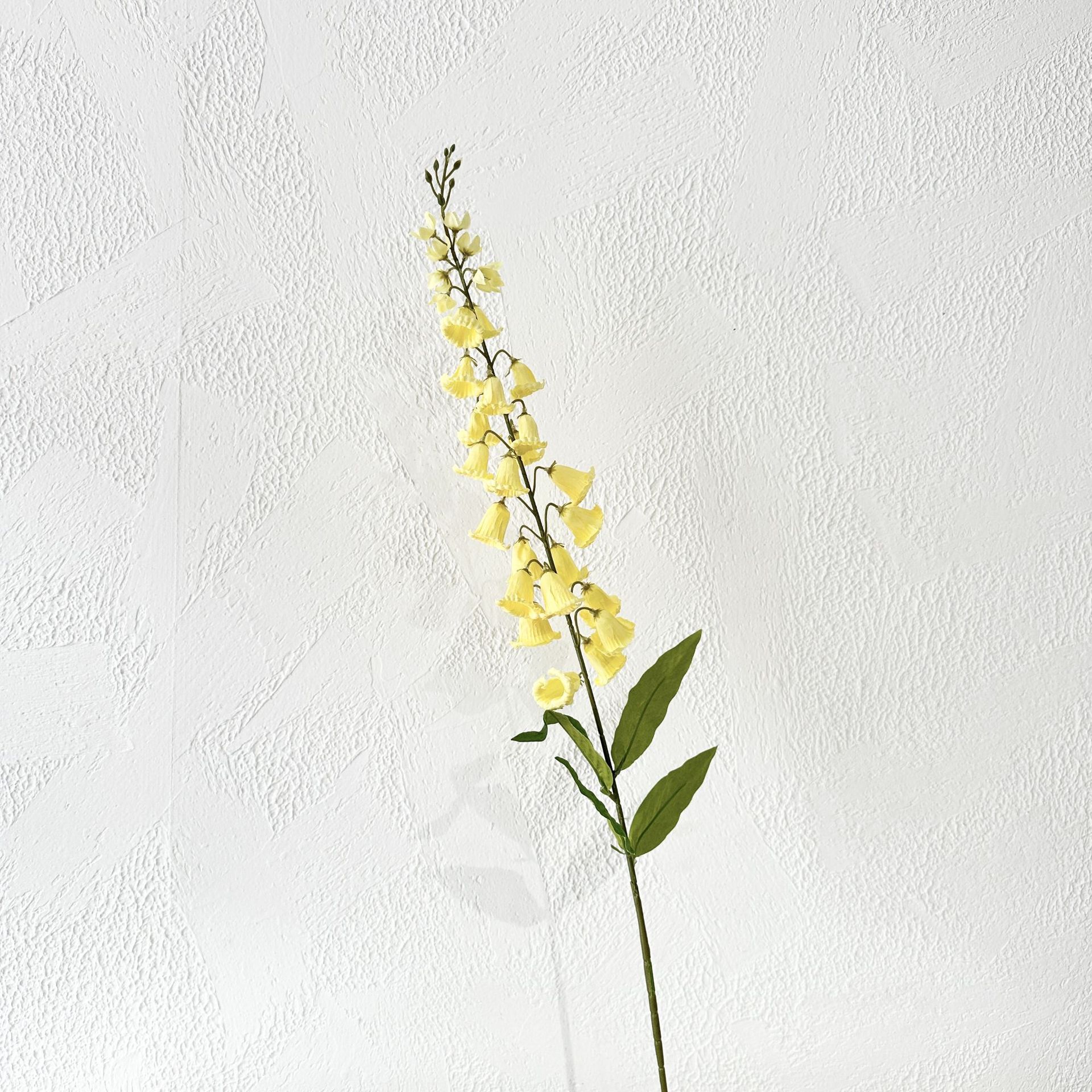 yellow wind bell flower
