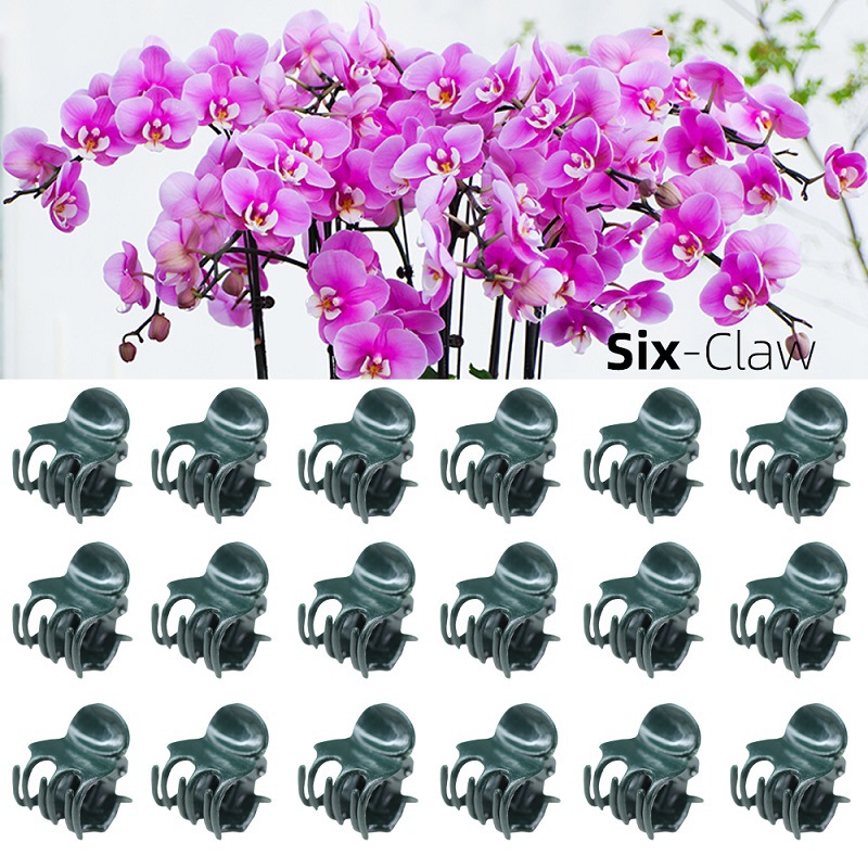 Amazon 100 plant clips flower fixed clip plant climbing vine orchid clip gardening support clip Flower Vine clip