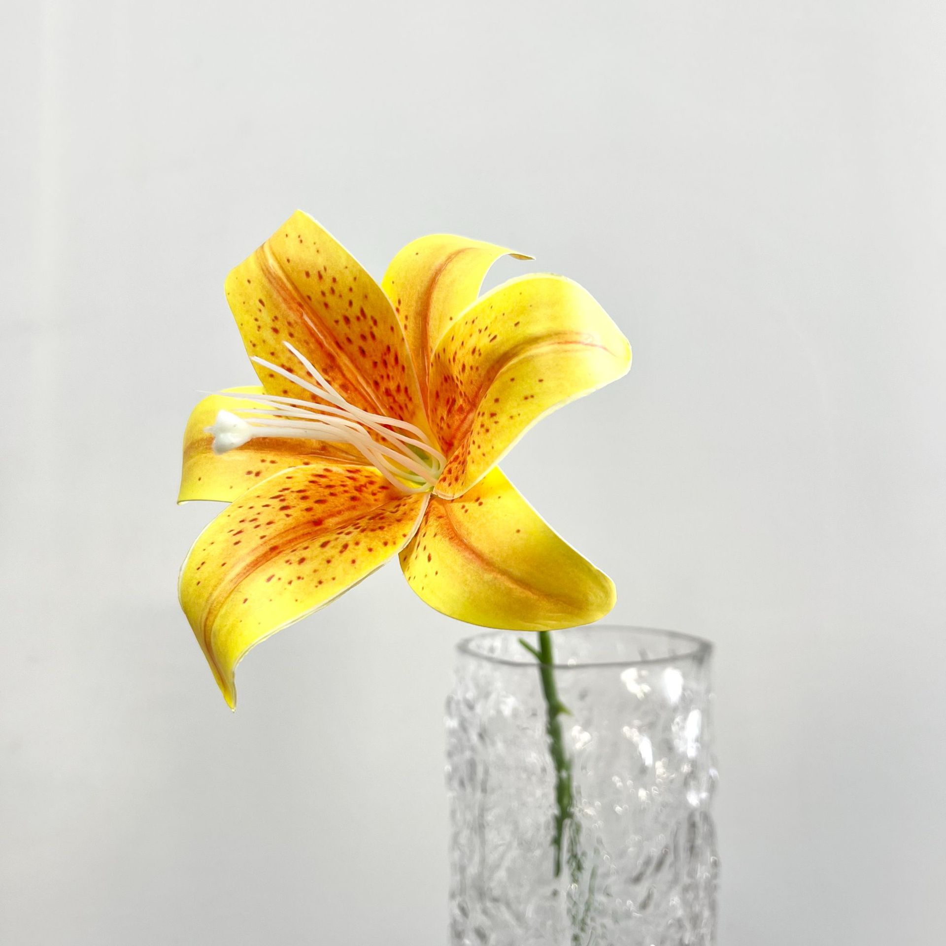 Yellow single Lily