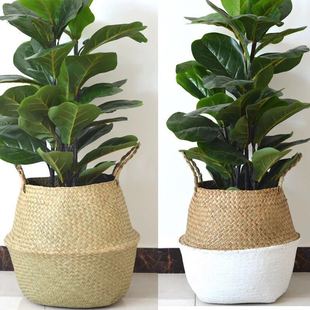 Big Belly Basket Straw Woven Flower Pot Vintage Seagrass Woven Flower Basket Paradise Bird Piano Leaf Ficus Turtle Back IKEA Folding Storage Basket