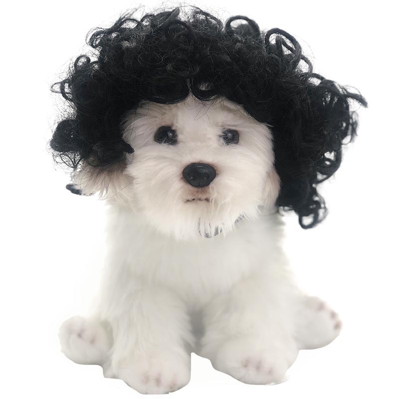 ペットかつら犬のかつら国境を越えたペット用品ハロウィーンペットアクセサリーカール直毛猫のかつら|undefined