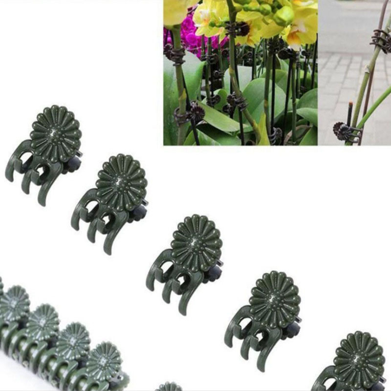 Phalaenopsis Clip Plant Support Clip Orchid Fixed Small Clip Flower Bracket Support Rod Climbing Vine Gardening Setting
