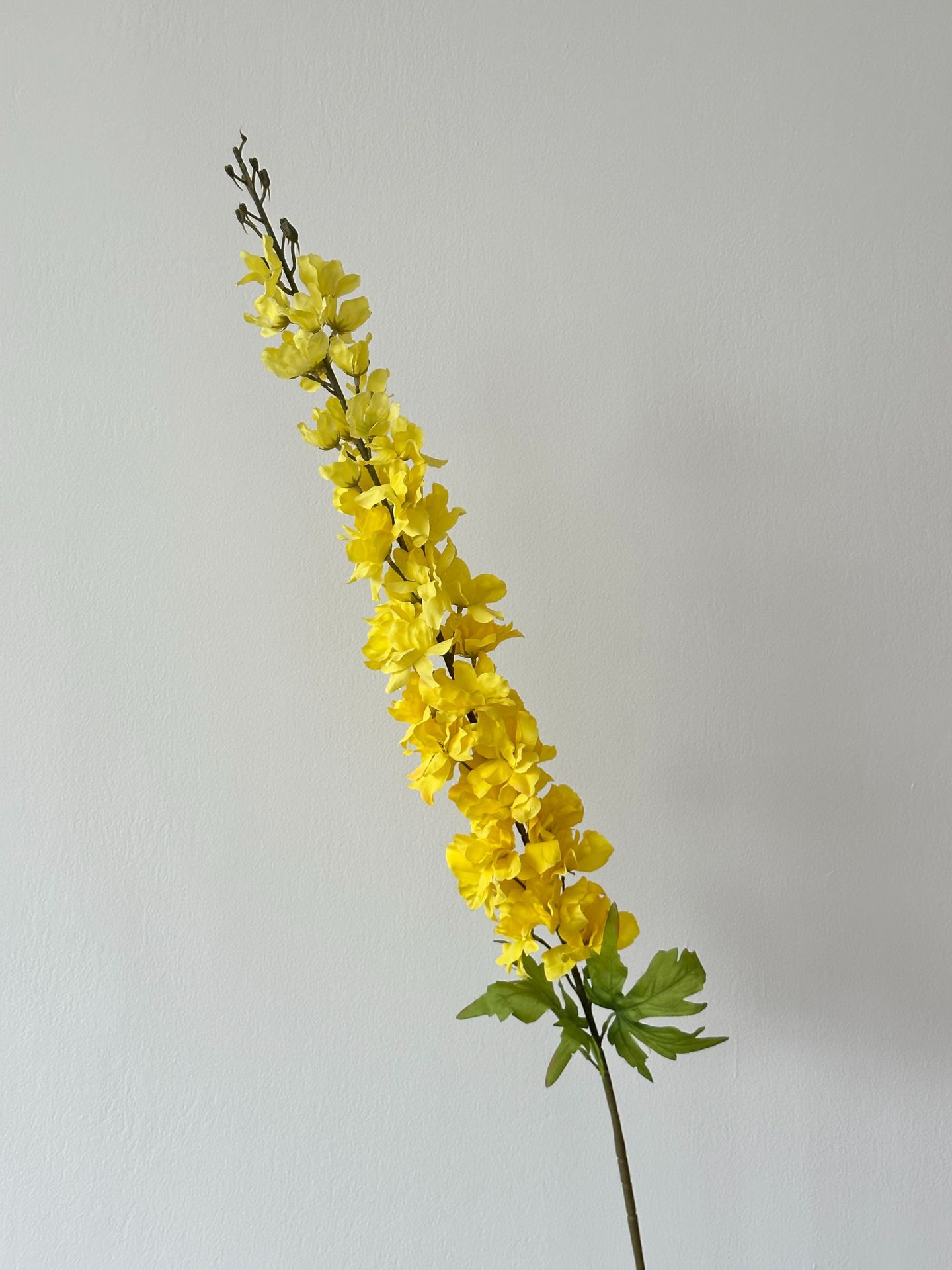 Yellow high branch dafeiyan no. 3