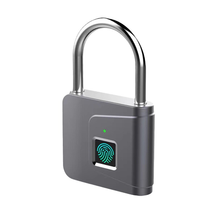 Factory wholesale smart fingerprint padlock household student dormitory Cabinet anti-theft small lock gym electronic padlock
