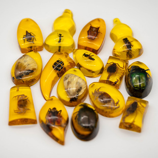 Factory direct supply | Insect amber accessories luminous amber archaeological blind box accessories teaching insect specimens
