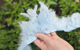 Light Sky Blue