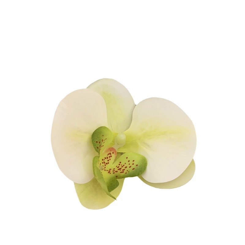 Wearing flower phalaenopsis side clip hairpin in this world, atmosphere feeling, photo, hair clip, seaside holiday hair accessories, headdress_voghion.com