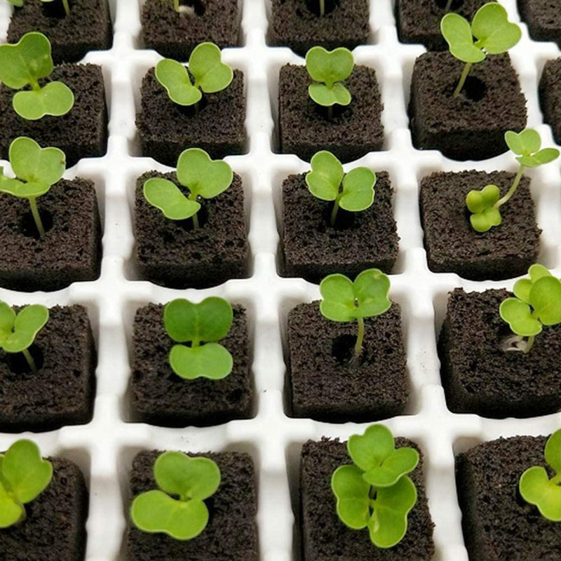 土壌栽培苗植栽ブロック花野菜果物 30*30*40 ミリメートル生物学的ピート基板ブロック|undefined