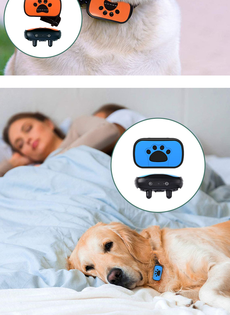 Dog Training Device 5