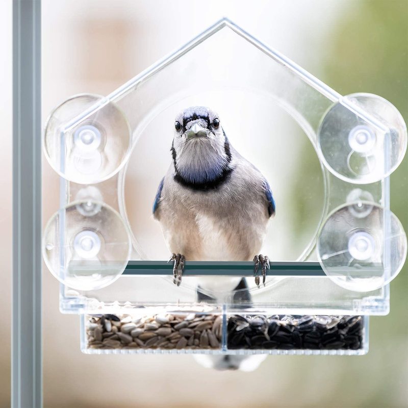 小鳥に適した鳥かご装飾金属鳥かごシードキャッチャートレイ組み立てが簡単できれい|undefined