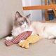 Mint Fish Toy Rubber Dry Chicken and Carrot Pet Toy Entertainment Chewy