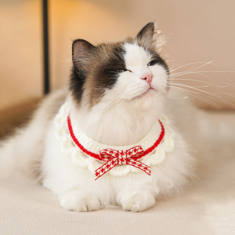 Hand-woven cat collar kitten dog scarf necklace cat collar saliva towel accessories pet collar wholesale