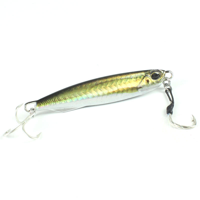 20-30-40-60g New 3D Bionic Coating Printing Lead Fish Road Iron Plate Fake Bait