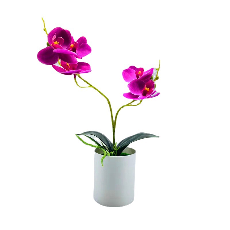 Simulation Potted Plant Simulation Phalaenopsis 3D Printing Film Two Forks Five Flowers Phalaenopsis Bonsai Artificial Artificial Flower Potted Plant
