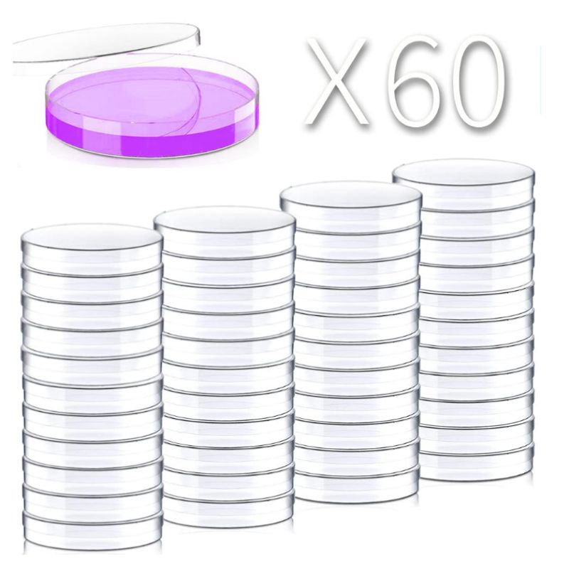 Cross-border Disposable Plastic Petri Dish Cell Petri Dish 35mm 60mm 70mm 90mm Plastic Dropper